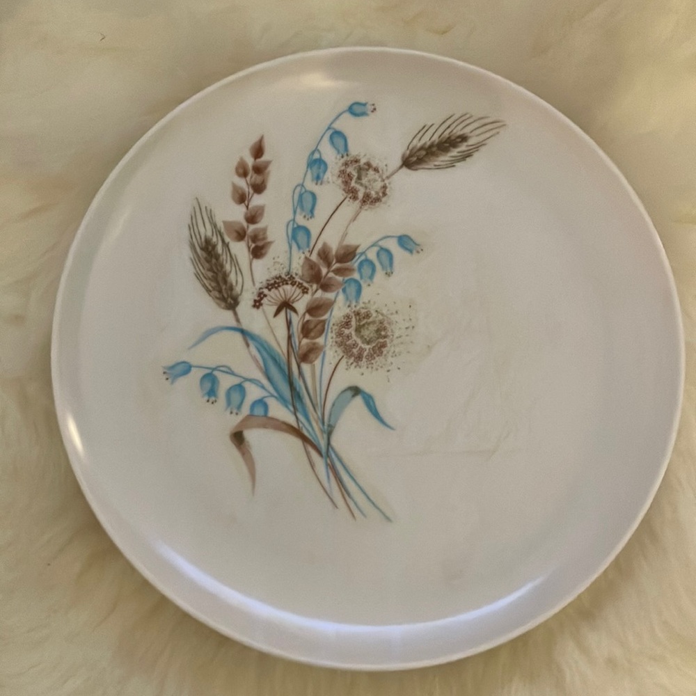 Vintage Floral Design Melmac type plastic 5 Plates - White and Blue